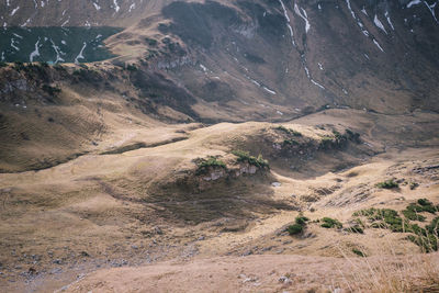 Scenic view of landscape