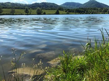 Scenic view of lake