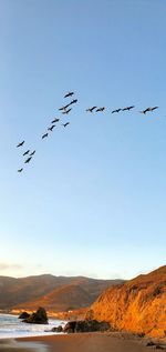 Birds flying in the sky, marin headland, bear golden gste, san francisco, california 