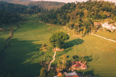 High angle view of trees on landscape