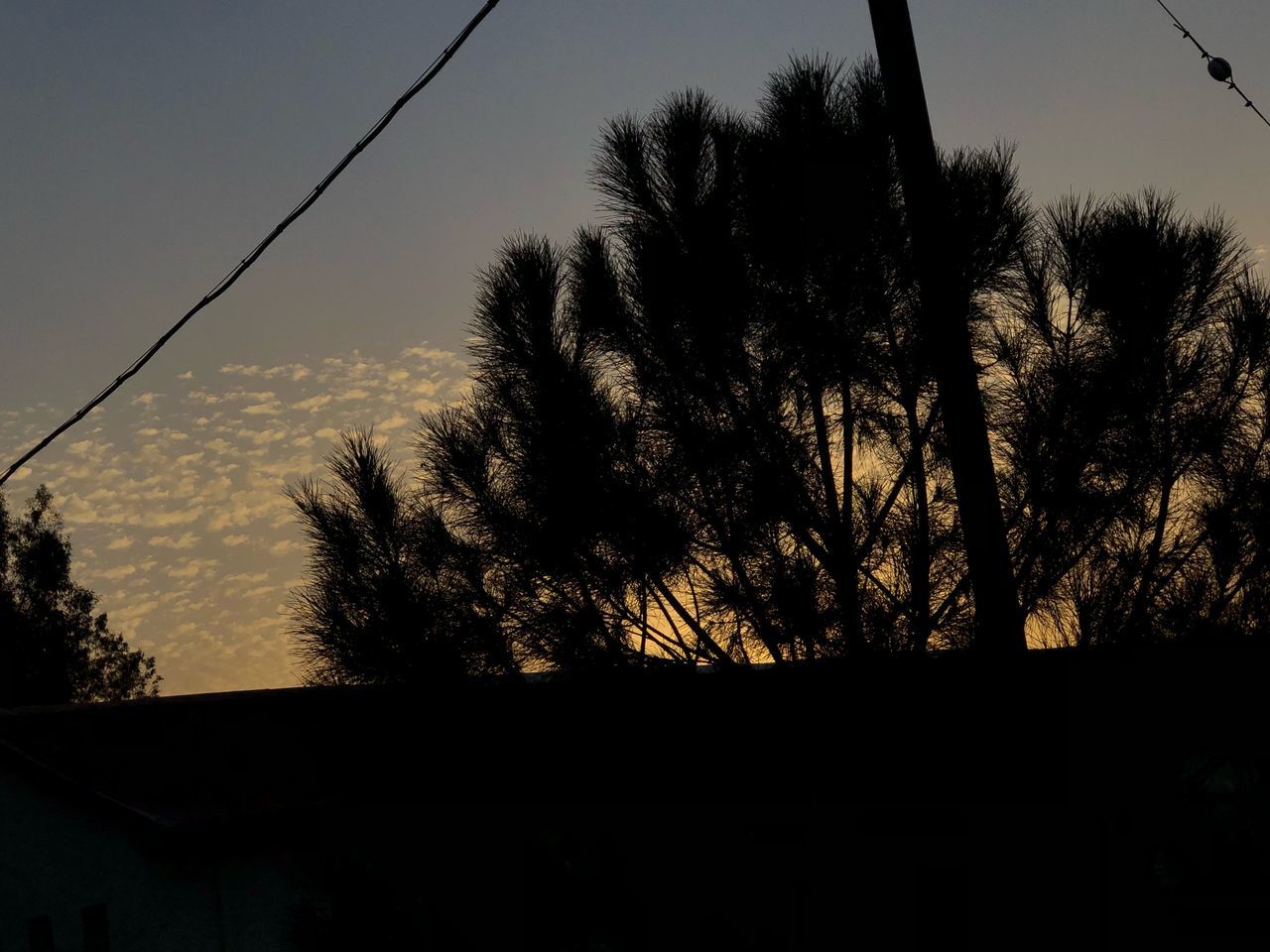 SILHOUETTE TREE BY BUILDING AGAINST SKY AT SUNSET