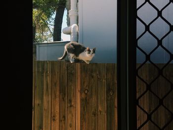 Close-up of closed door