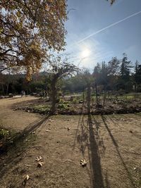 nature