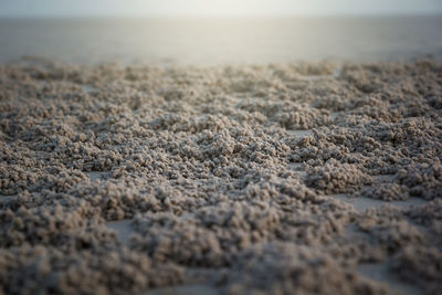 Full frame shot of pebbles on beach