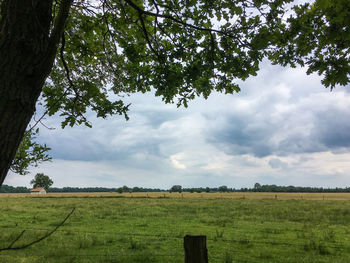 Scenic view of field against sky