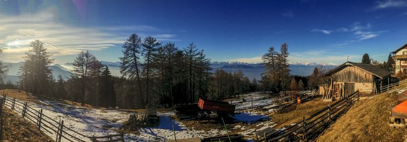 Panoramic shot of trees and houses against sky during winter