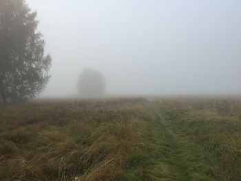 Scenic view of field in foggy weather