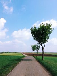 Road amidst agricultural field against sky