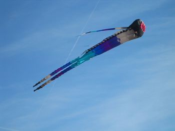 Low angle view of kites flying against sky