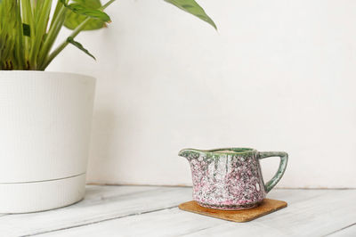 Small porcelain jug of milk on bamboo stand and potted calathea plant on a light wooden table