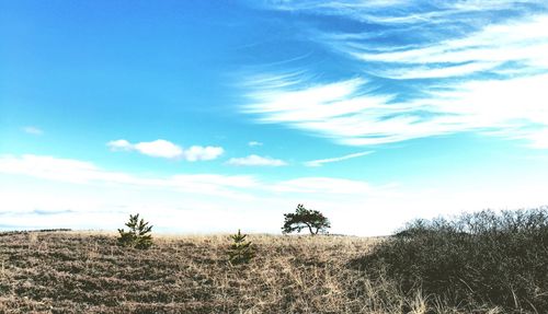 Scenic view of field against cloudy sky
