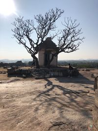 Bare tree by built structure against sky