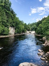 River flowing through rocks in forest against sky