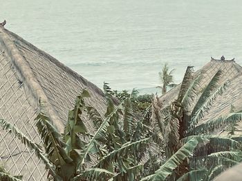 High angle view of plants by sea against sky