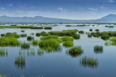 Scenic view of lake against sky