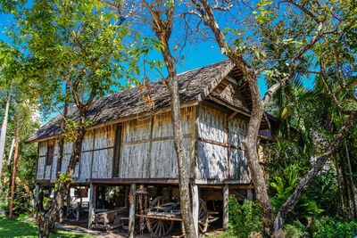 Old wooden house amidst trees and plants