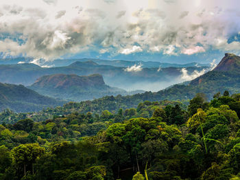 Scenic view of tree mountains against sky