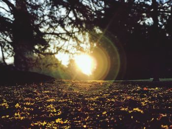 Close-up of sun during sunset