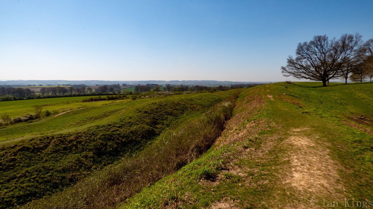 SCENIC VIEW OF GRASSY FIELD AGAINST CLEAR SKY