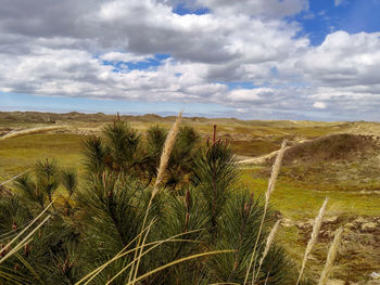 Scenic view of land against sky