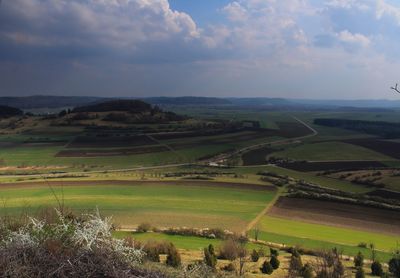 Scenic view of agricultural field against sky