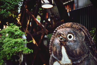 Close-up of a raccoon dog ornament