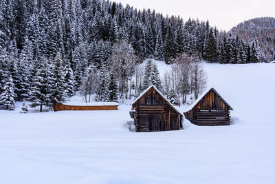 Snow covered house and trees against sky