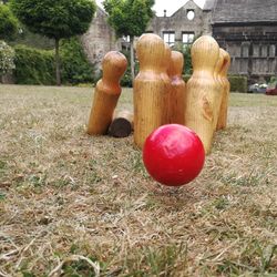 Red apple on field in backyard