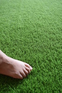 Close-up of hand touching grass on field