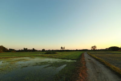 Road amidst field against clear sky