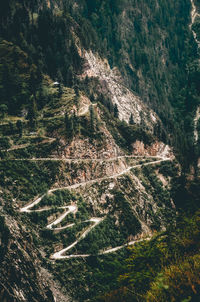 High angle view of trees on mountain