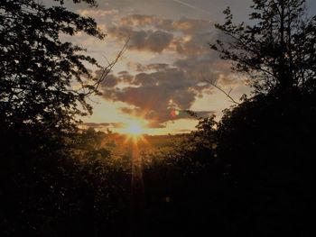 Trees against sky during sunset