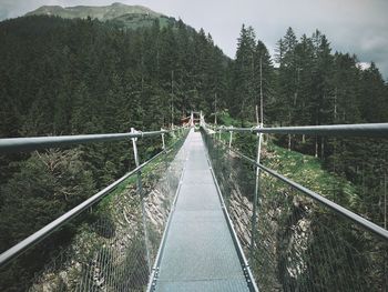 Footbridge amidst trees in forest