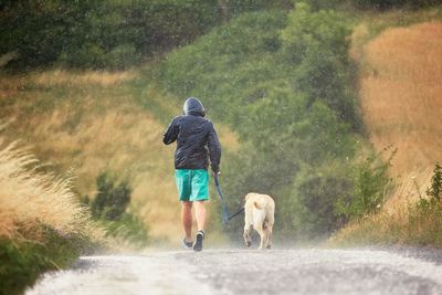 Rear view of man walking with dog on road during rainy season