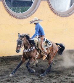 Cowboy riding horse