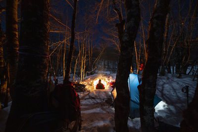 Rear view of people in forest during winter