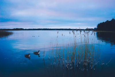 Man swimming in lake against sky