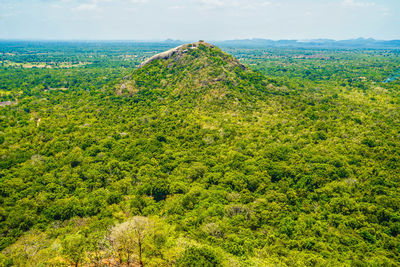 High angle view of trees on landscape against sky