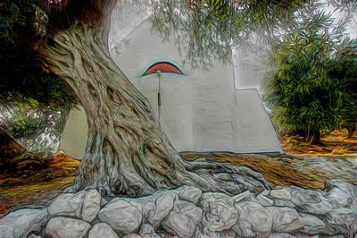 Sculpture of tree by water