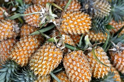 Close-up of fruits