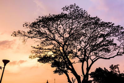 Low angle view of silhouette tree against sky during sunset