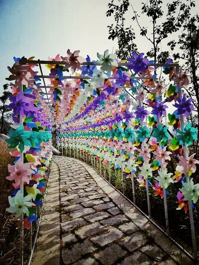 WALKWAY LEADING TO FLOWERS