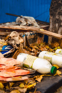 Still life at city's dump