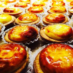 Close-up of served food