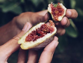 Cropped hands holding figs