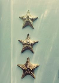 Starfish decoration on wall