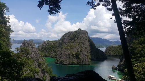 Scenic view of river amidst trees against sky