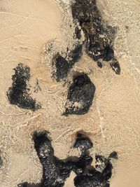 High angle view of footprints on sand