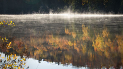 Reflection of trees in lake against sky