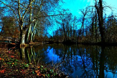 Reflection of trees in lake against sky in forest